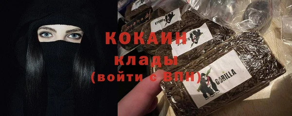 мет Арсеньев