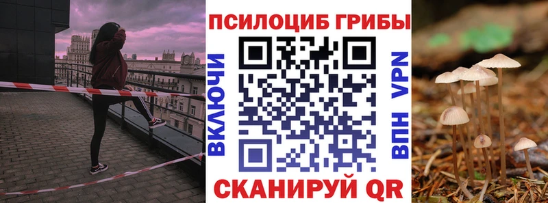 Галлюциногенные грибы прущие грибы  Новомичуринск 